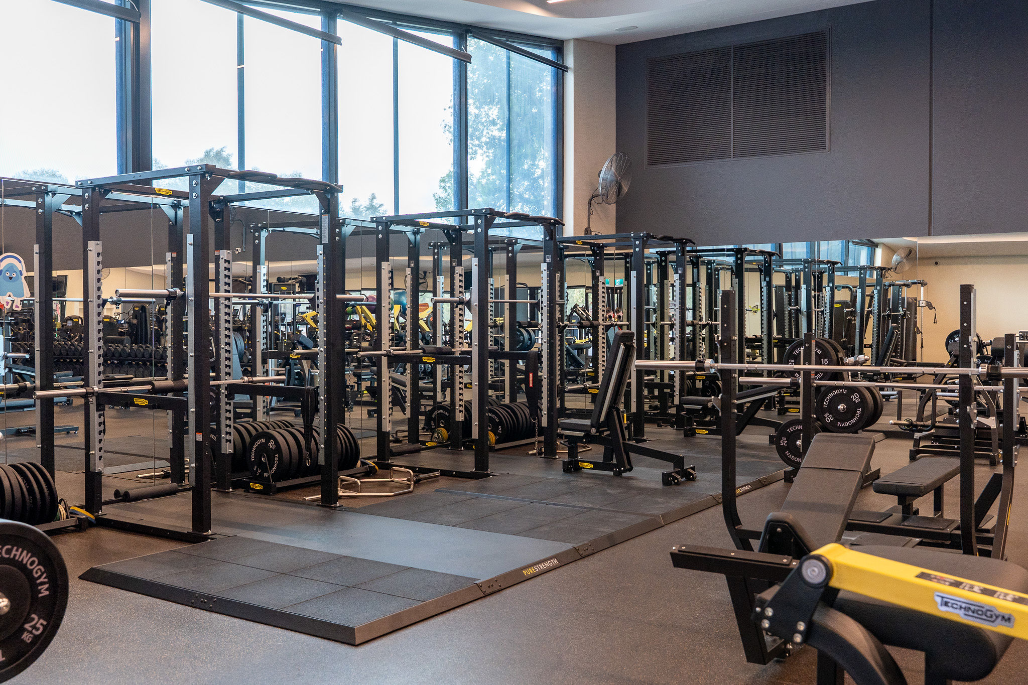 Gym Floor 2